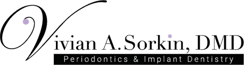 Vivian A. Sorkin, D.M.D.